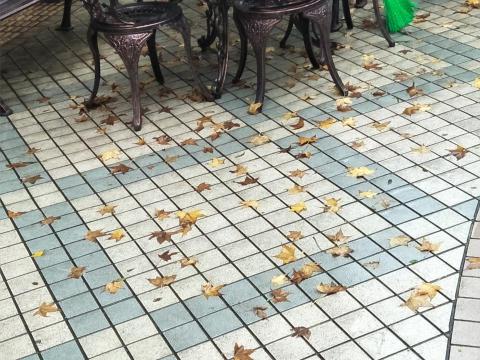 心流星有限公司 - 清掃大批庭院落葉前