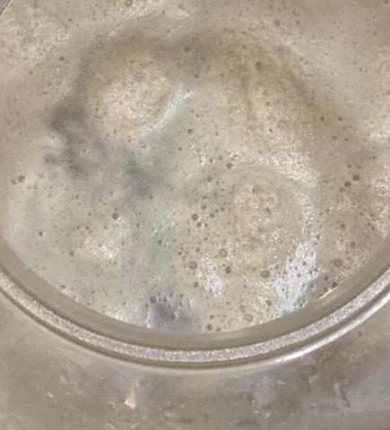 MitesKiller野蟎殺手 - 塵蟎屍體