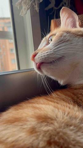 🙍🏻&zwj;♀️產前按摩/產後雕塑 - 捕捉可愛畫面