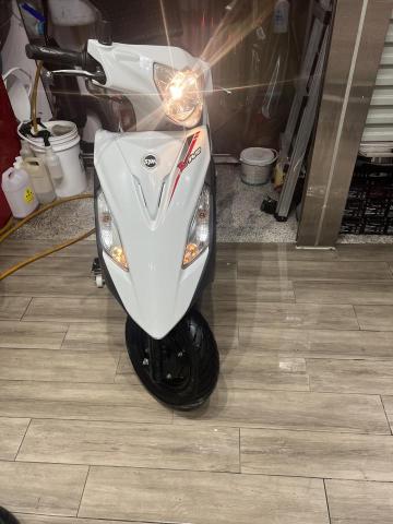 志隆 - 白色車輛，專業漂白處理