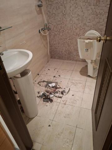 維力室內拆除 - 馬桶移除