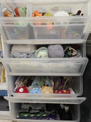 左手的室野 - 寵物用品櫃：依照用途分層收納玩具、睡窩和毯子，善用收納盒和收納袋，依照厚、薄直立式收納衣物、配件。