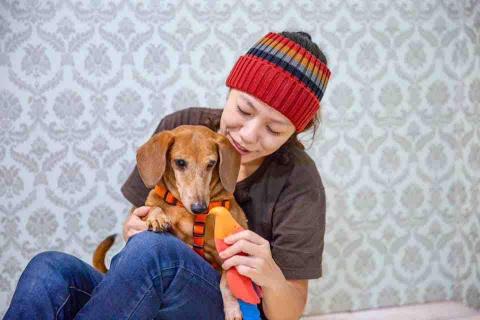 卡楽寵物居復能養護工作室 - 