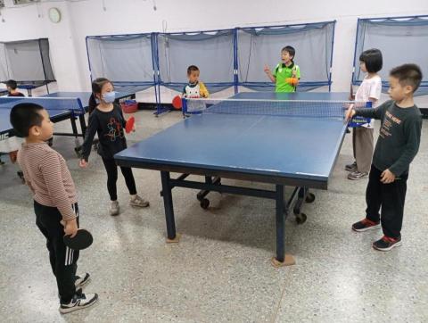 專業桌球教學 - 分組推球練習