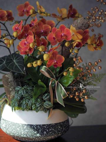 JCflower崨希花藝工作室 - 蘭花盆栽設計 JCflower崨希花藝工作室 - 蘭花盆栽設計