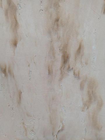 詹宗元 -  詹宗元 -