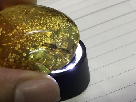 格雷大叔 - 天然琥珀（內有昆蟲）