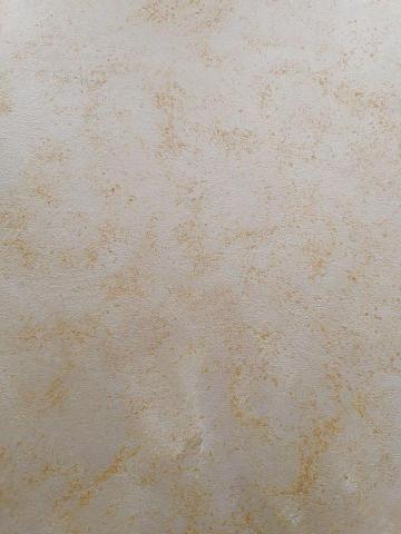 詹宗元 -  詹宗元 -