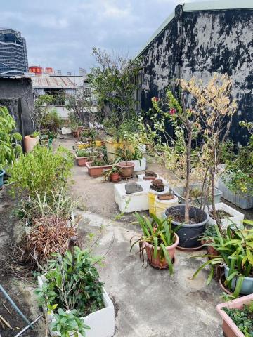 6G快速搬家 - 板橋清運花盆五樓無電梯，一人作業。
（施工前）
