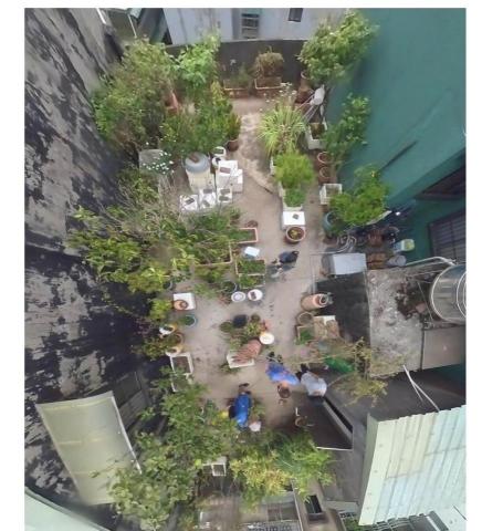 6G快速搬家 - 板橋清運花盆五樓無電梯，一人作業。
（施工前）