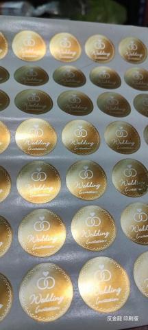 蘋果印刷設計工坊 - 反金龍貼紙 蘋果印刷設計工坊 - 反金龍貼紙