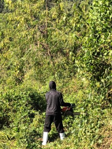 綠芬園園藝 - 數百坪高鐵雜草叢生   施工中