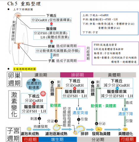 陳老師 - 高中生物自編重點整理