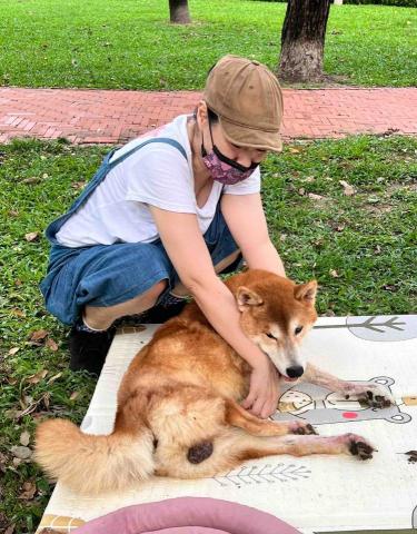 卡楽寵物居復能養護工作室 - 老犬復能養護