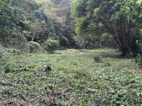 森活空間企業社 - 