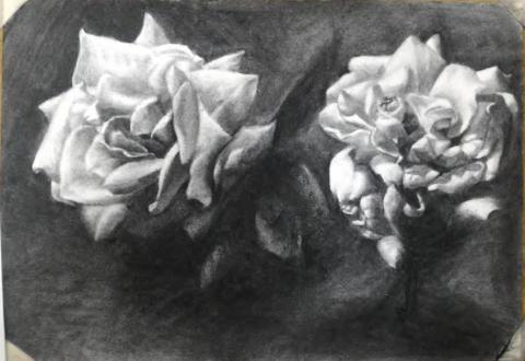 石頁工作室 - 花卉2018 炭筆