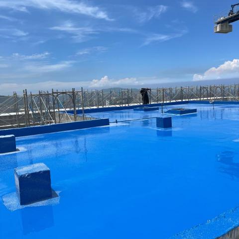 提供陽台服務的專家吳宣霈