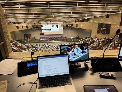 蔡宇喬 - 聯合國環境署COP大會 