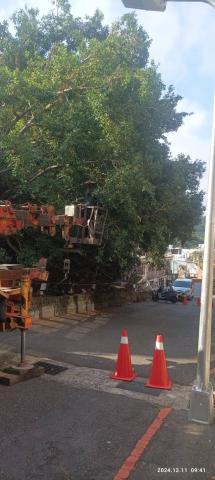 園藝相關業務 - 前