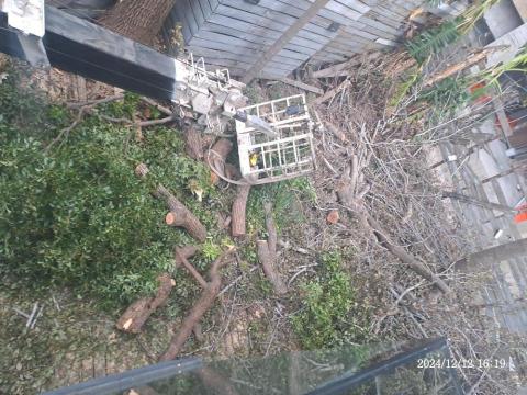 園藝相關業務 - 