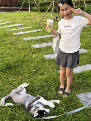 莊胤辰 - 國小五年級家教