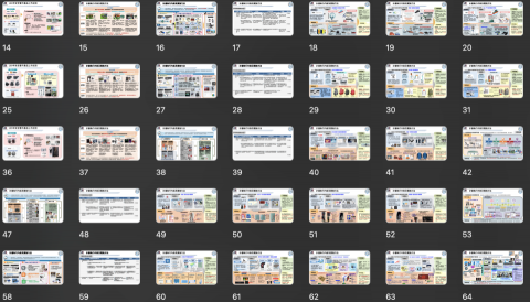 Amanda - 政府計畫簡報撰寫