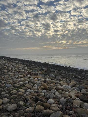 提供專車服務的專家簡偉徵