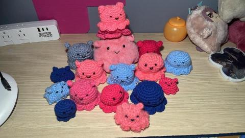 許怡苹 - 毛線勾織