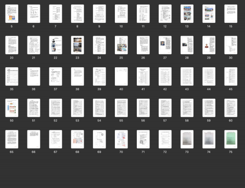 Amanda - 政府標案服務建議書撰寫