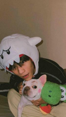 提供住宿服務的專家王子遛犬師