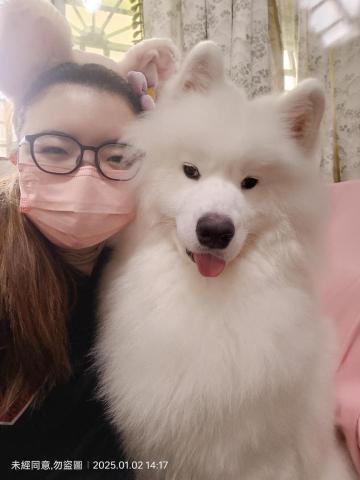 寵物日住/安親/散步等❣️寵物專車🚗到府接送🏡 - 