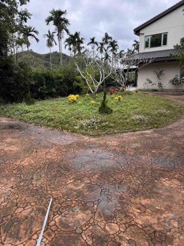 👑皇喬園藝《樹木修剪、伐木整地》 - 