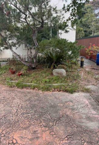 👑皇喬園藝《樹木修剪、伐木整地》 - 