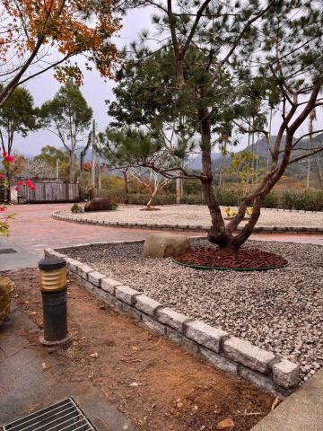 👑皇喬園藝《樹木修剪、伐木整地》 - 