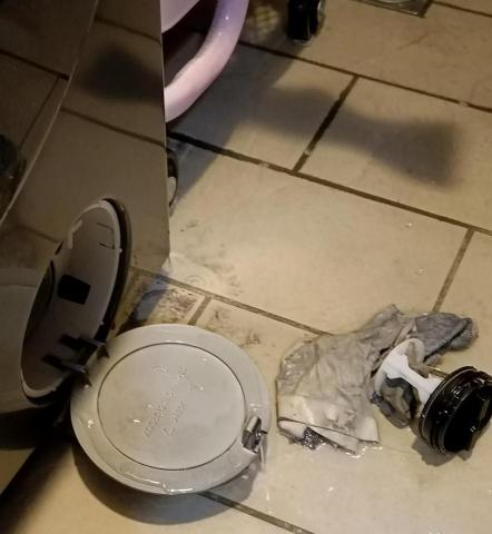 周先生 - 洗脫烘排水故障