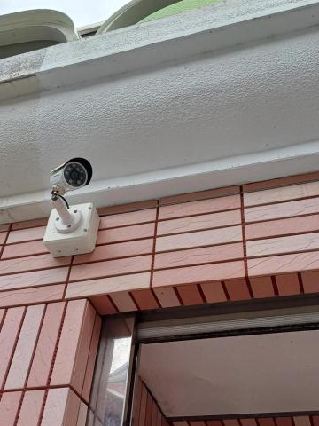 蕭志宇（小宇） - 