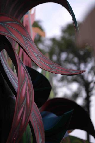 Weili soul -  Weili soul -