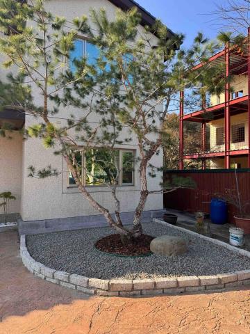 👑皇喬園藝《樹木修剪、伐木整地》 - 