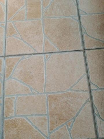 歐貴仙 - 陽台清潔