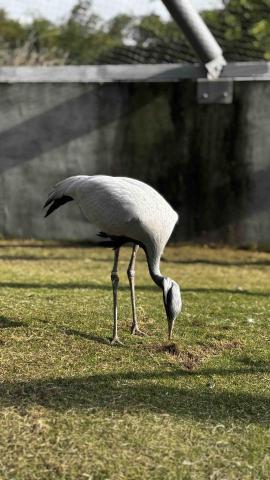 JaneJane - 九九峰動物樂園拍攝