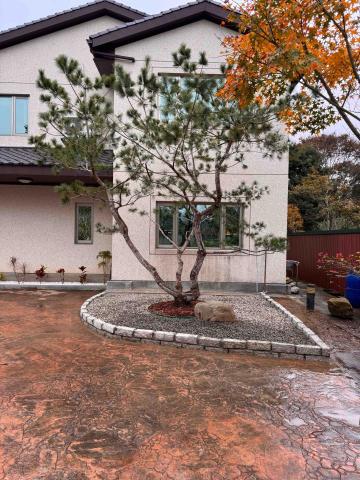 👑皇喬園藝《樹木修剪、伐木整地》 - 