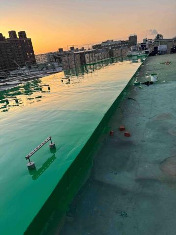 鴻林黃（King） - 八德PU施怍