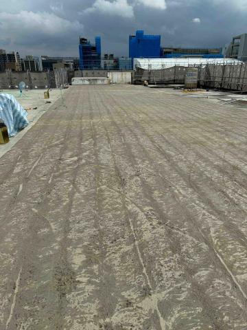 鴻林黃（King） - 八德素地整平研磨