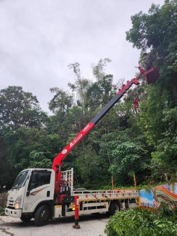 盛永園藝工程行 - 樹木修剪