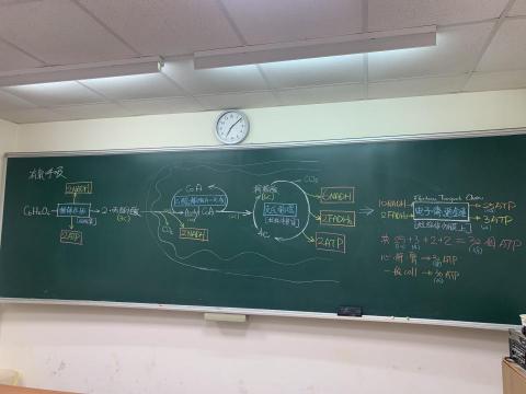 周軒宇 - 生物上課紀錄