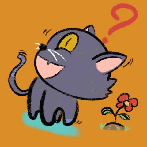 正義兔 - 可愛的貓咪