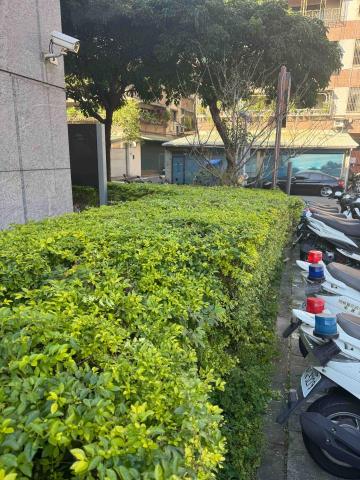 🪽森羽園藝 - 造型灌木修剪