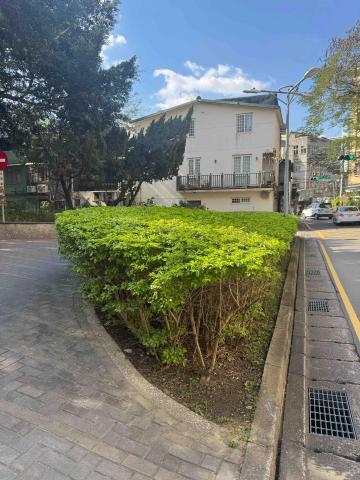 🪽森羽園藝 - 灌木修剪