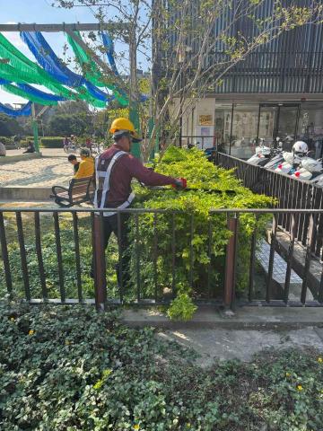 🪽森羽園藝 - 造型灌木修剪