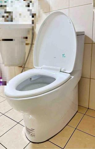 鄭欽元 - 單體馬桶完工照